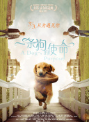 愛情島論壇hd高清