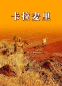 一個人的在線觀看wwwhd高清在線