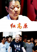 三分之一情人hd高清