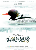 暖暖大全日本中文在線觀看