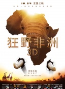 兩個人bd高清在線觀看中文版在線觀看
