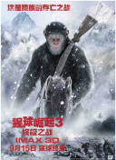 午夜dj高清全集資源在線觀看