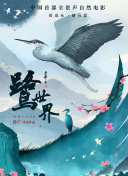 神馬影院手機(jī)版電影網(wǎng)高清影視免費在線