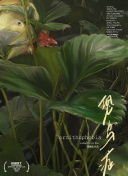 黑薔薇升天hd高清