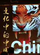 欲望號快車正片
