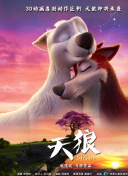 與鴨共舞hd高清