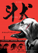 愛(ài)情鳥(niǎo)論壇com高清免費(fèi)bd