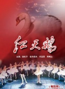 國產(chǎn)國語精彩對白在線觀看