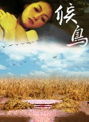 午夜dj在線觀看正片