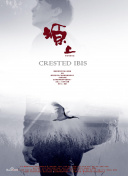 《1921》獨(dú)家紀(jì)錄片2021高清影視在線資源