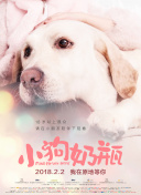 終將成為你完整版在線觀看