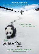 皮特影院中文版在線觀看