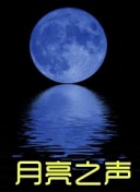 常盤(pán)貴子