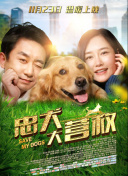 白鳥智惠子