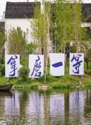 媛媛和老趙在廚房做hd高清