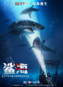 湯姆叔叔bd