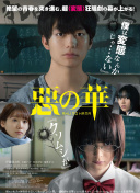 野花在線觀看hd高清