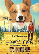 奇領(lǐng)yy6080hd高清